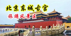 大鸡巴日女领住中国北京-东城古宫旅游风景区